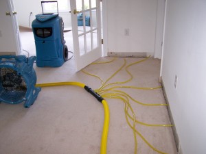 Dehumidifiers Water Removal Costa Mesa